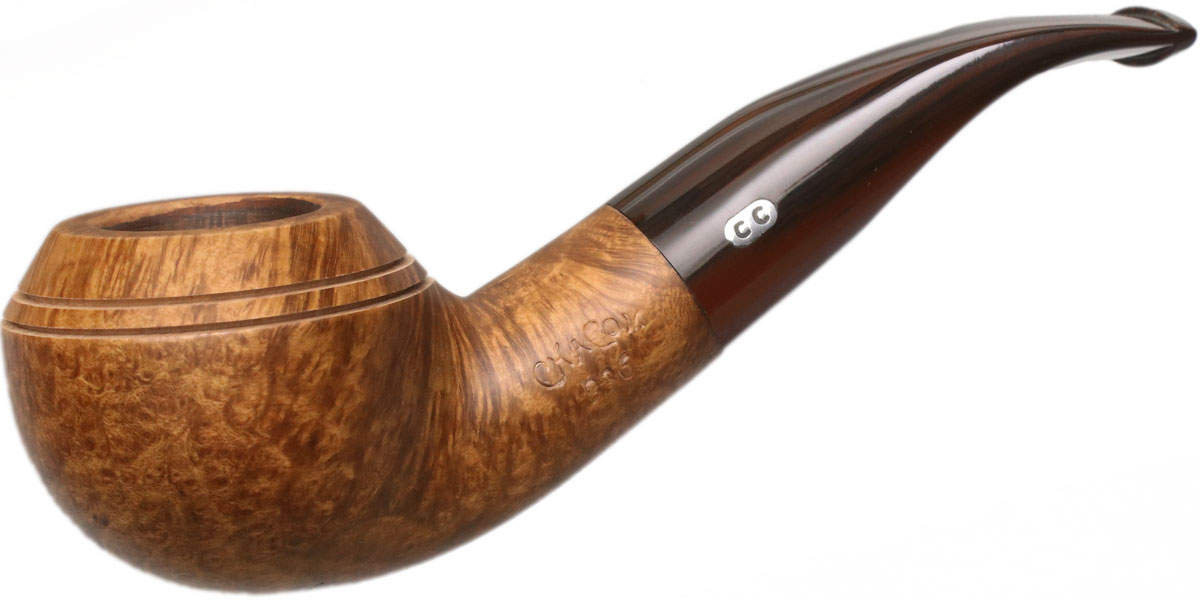 rhodesian – domorast